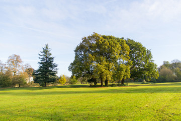 Fototapeta premium Leicester shire park