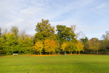 Fototapeta na wymiar Leicester shire park