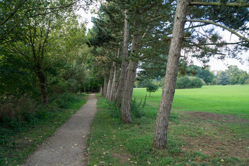 The countryside in Leicester