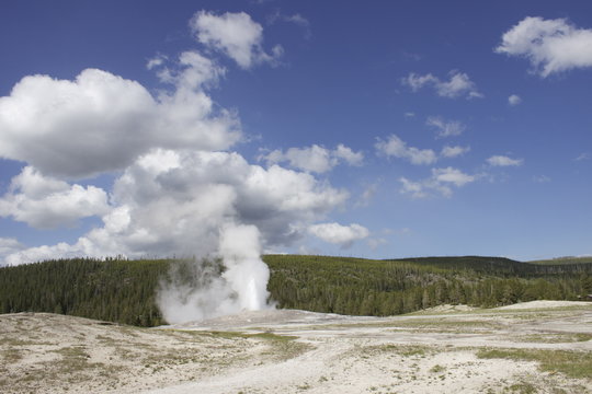 Yellowstone