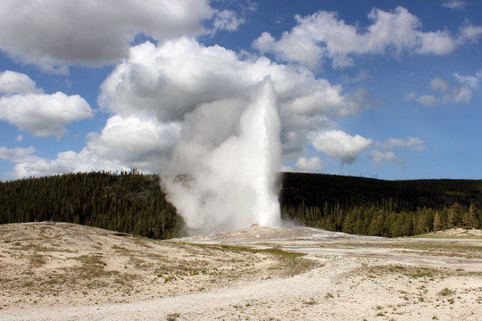 Yellowstone