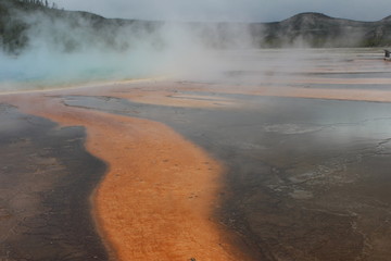 Yellowstone