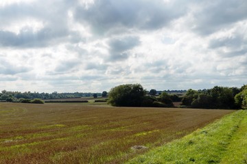 Leicester-shire countryside in the summertime 2016