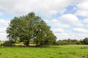 The countryside in Leicester