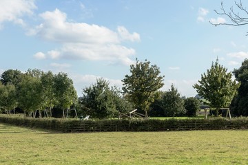 Leicester-shire countryside in the summertime 2016