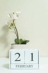 Closeup white wooden calendar with black 21 february word with white orchid flower on white wood desk and cream color wallpaper in room textured background in selective focus at the calendar