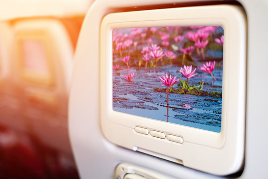 Aircraft monitor in front of passenger seat showing  beautiful blooming lotus