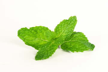 Naklejka na ściany i meble mint leaf, aromatic herbs, used as ingredients to make ice cream and herbal teas