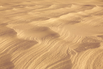 desert sand surface
