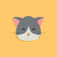 Cat cartoon face