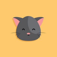 Cat cartoon face