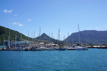Fototapeta na wymiar Yacht port in Cape town