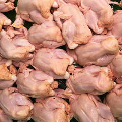 Raw chicken in the market