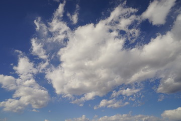 Fototapeta premium 青空と白い雲