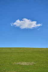 Fototapeta premium Solitary white cloud in a blue sky over a green field