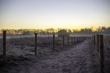 Weg in nebligem Feld an einem frühen Wintermorgen