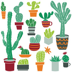 Flat collection of cute potted cactuses.