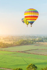 Naklejka premium colorful balloons over the green rice field in the warm morning