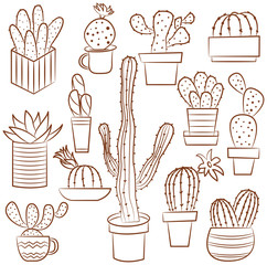 Collection of cute potted cactuses