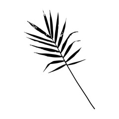 Palm leaf vector illustration. Black and white palm leaf silhouette. Isolated palm leaf.