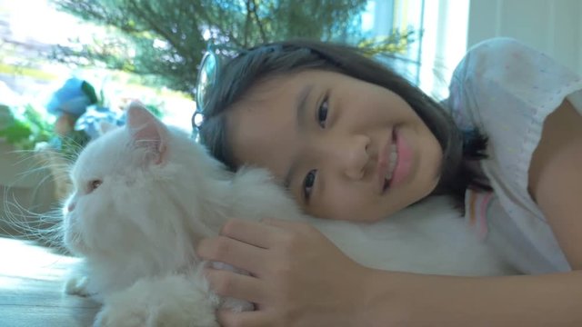 4K : Lovely Asian girl plays with her Persian cat
