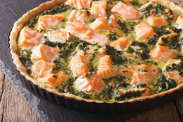 pie with salmon, cream and spinach in baking dish close up. horizontal