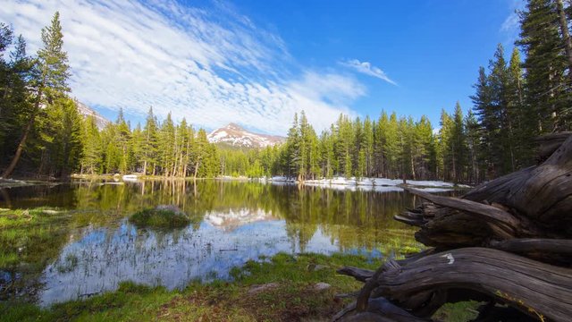 MoCo Tracking Timelapse of Driftwood at Alpine Lake in Yosemite -Tilt Up-