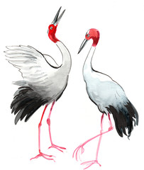 Watercolor cranes