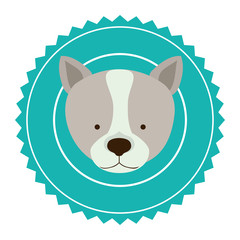 emblem dog hunter city icon, vector illustration