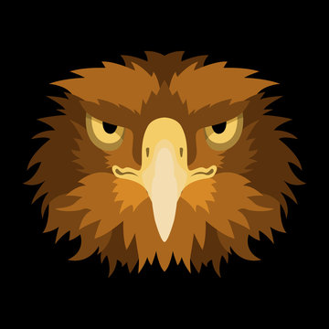 eagle head face vector illustration style Flat