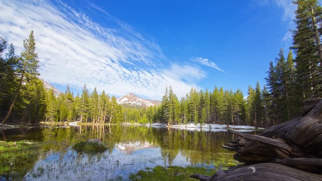 MoCo Tracking Timelapse of Driftwood at Alpine Lake in Yosemite -Tilt Down-