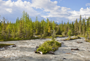Obraz premium Mountain river. Altai. Russia