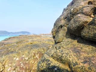 Rock on the beach