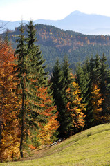 Golden autumn landscape in the mountains
