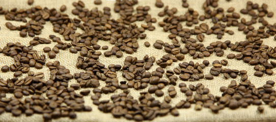 Coffee beans on a background of canvas