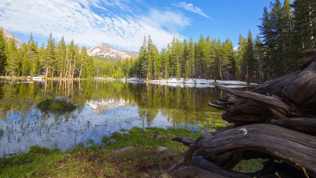 MoCo Tracking Timelapse of Driftwood at Alpine Lake in Yosemite -Pan Left-