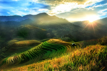Mucangchai terraced rice field