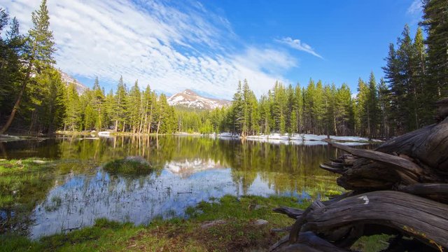 MoCo Tracking Timelapse of Driftwood at Alpine Lake in Yosemite -Zoom In-