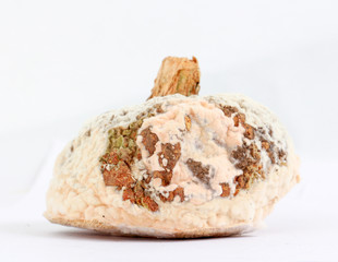 image of a rotten pumpkin