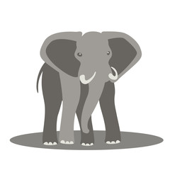 elephant vector illustration style Flat