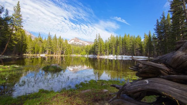 MoCo Tracking Timelapse of Driftwood at Reflective Alpine Lake in Yosemite 