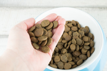 Hundefutter wird von einer Hand in einem blauen Napf getan, Holzhintergrund und Textfreiraum