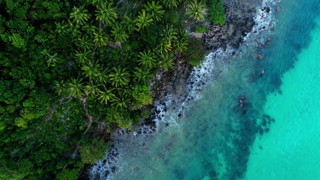 Waves breaking in front of palms on the shore of Koh Rong