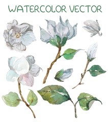 Naklejka premium Beautiful watercolor magnolia flowers