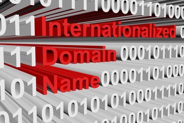 internationalized domain name in the form of binary code, 3D illustration - obrazy, fototapety, plakaty
