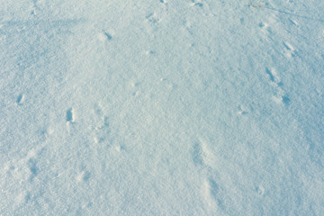 Snow Background Texture