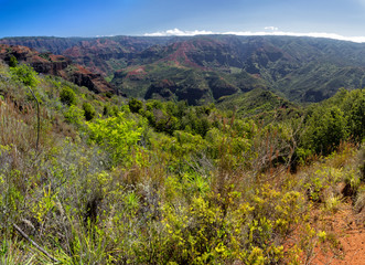 Fototapeta na wymiar Blick über den Waimea Canyon auf Kauai, Hawaii, USA.