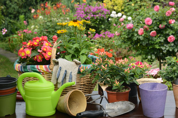Garten 717
