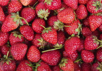 Fresh ripe strawberry