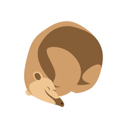 anteater vector illustration style Flat